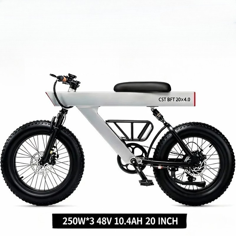 新入荷 500W 大人用電動自転車 48V 20インチオフロ - Road Bike Tire のレビューと価格